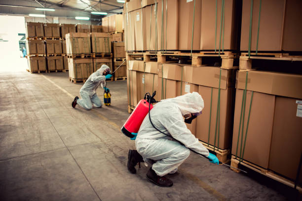 Best Emergency Pest Control  in Cedar Knolls, NJ