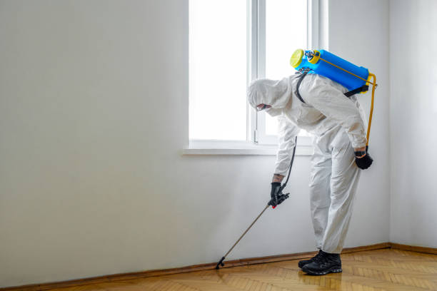 Best Commercial Pest Control Services  in Cedar Knolls, NJ