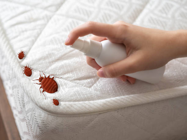 Best Wasp Removal Services  in Cedar Knolls, NJ
